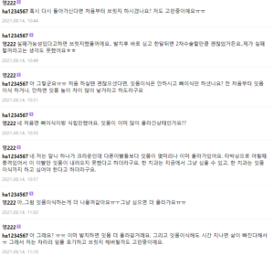 앞니 브릿지 후기 6