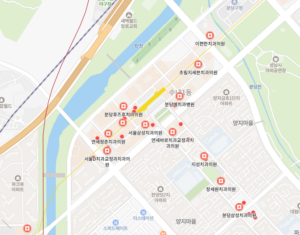 수내역 임플란트 치과 잘하는곳