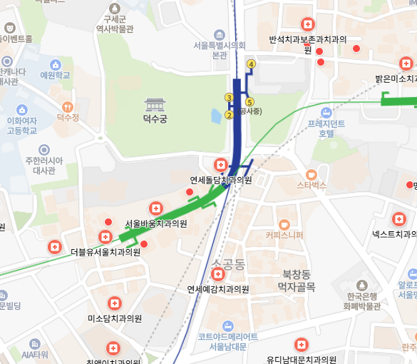 시청역 임플란트 치과 잘하는곳